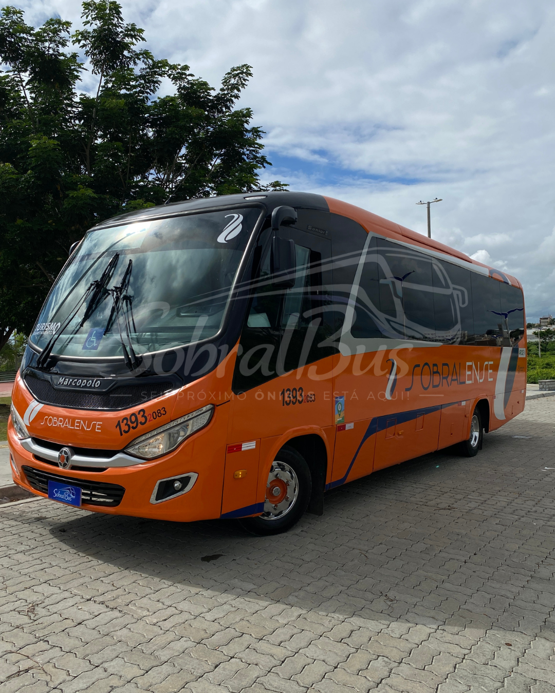 Marcopolo New Senior - MB LO 916